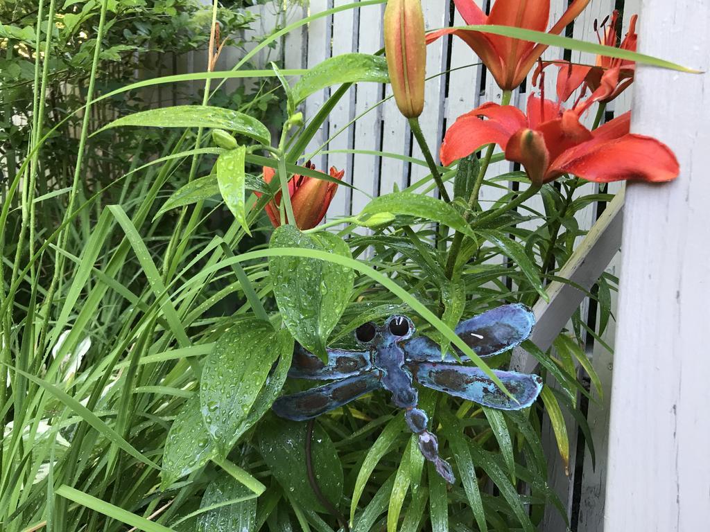 Dragonfly Guest House オガンクィット エクステリア 写真
