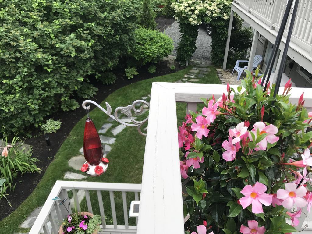Dragonfly Guest House オガンクィット エクステリア 写真
